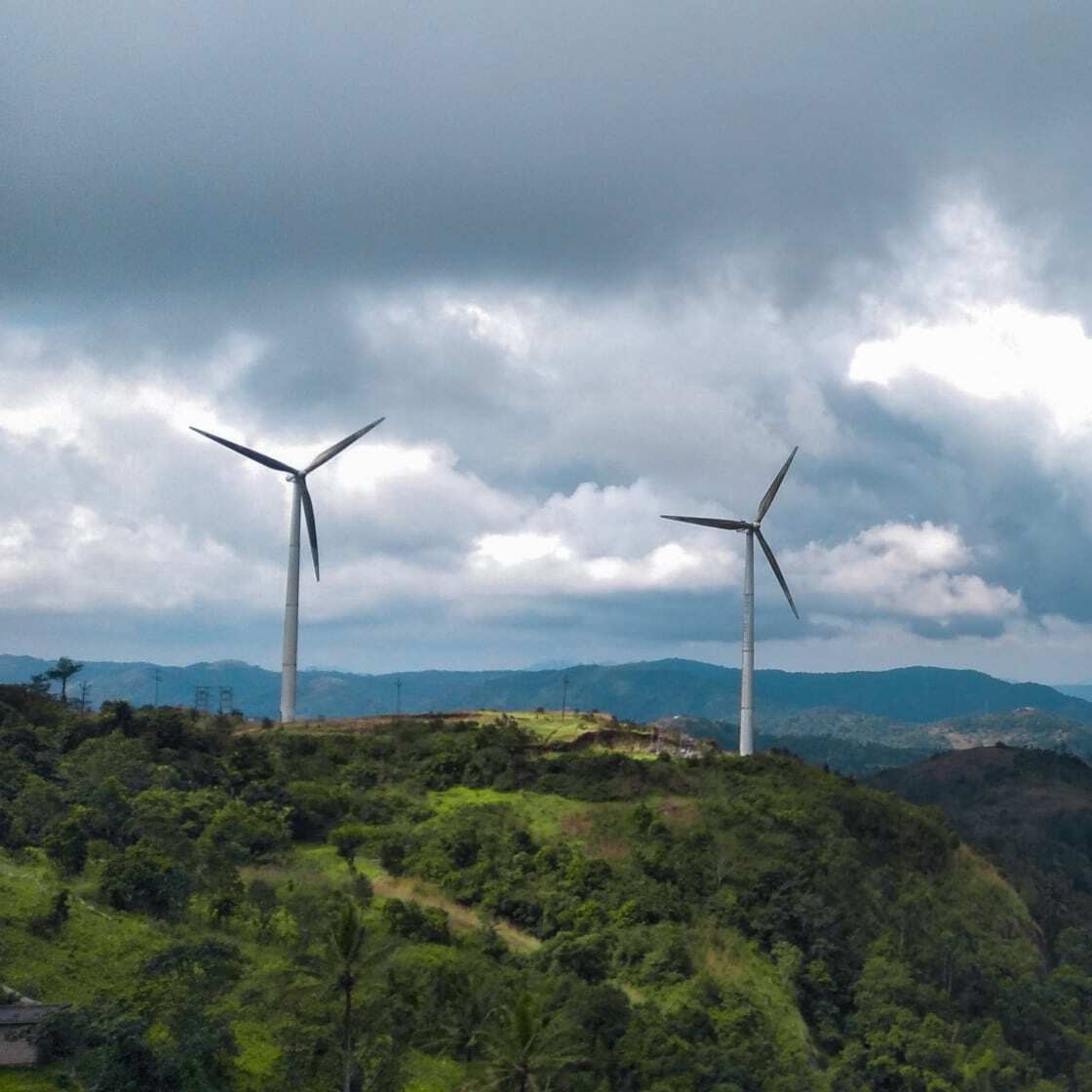 Zeno Image wind mills